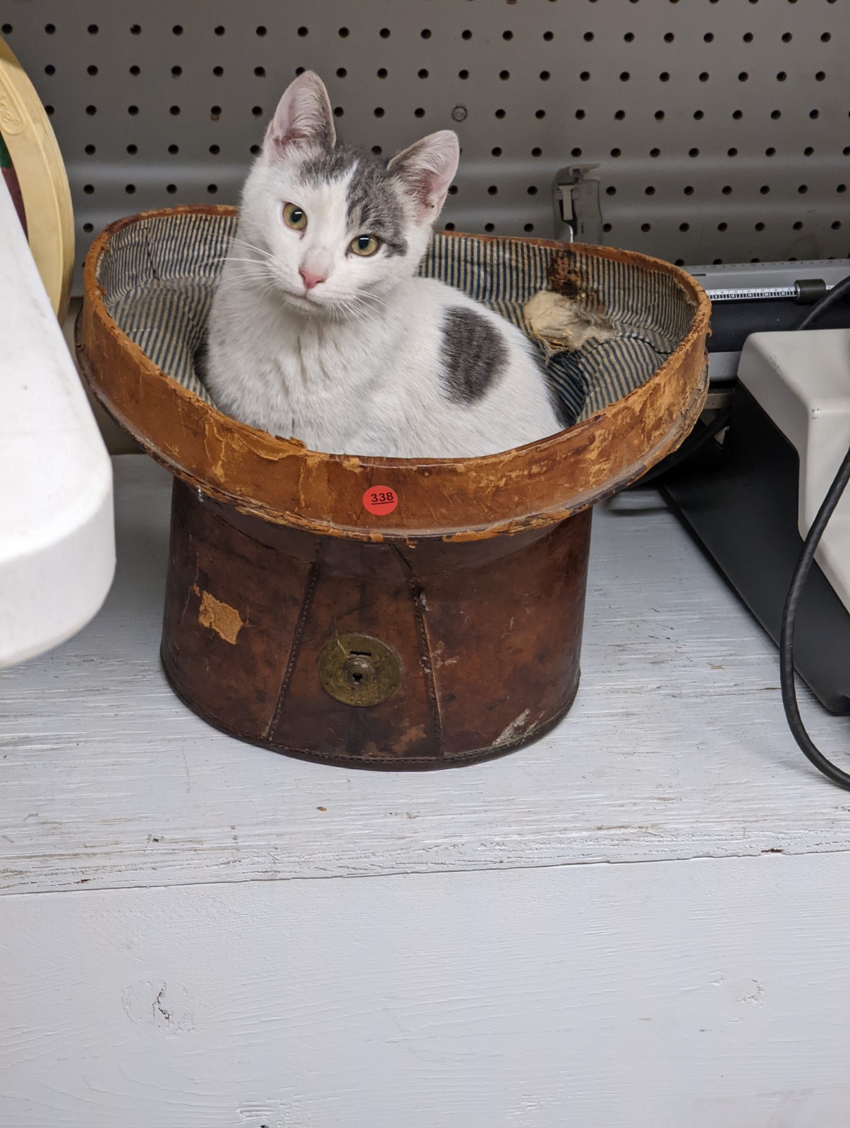 PXL_20220301_170521690